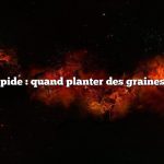 Réponse rapide : quand planter des graines d’échalote